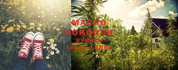 молекула духа Карпинск