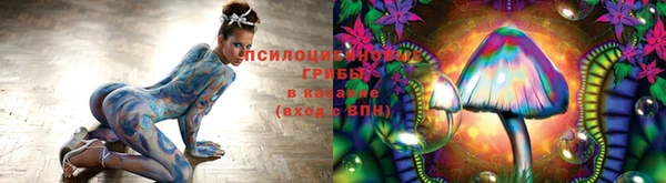 сатива Касимов