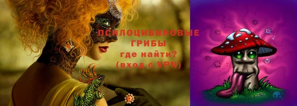 ПСИЛОЦИБИНОВЫЕ ГРИБЫ Карталы