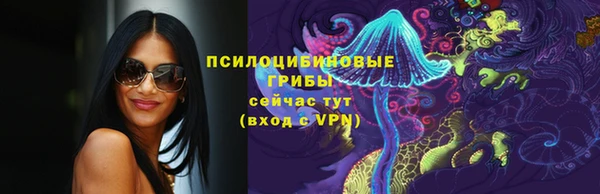 ПСИЛОЦИБИНОВЫЕ ГРИБЫ Карталы