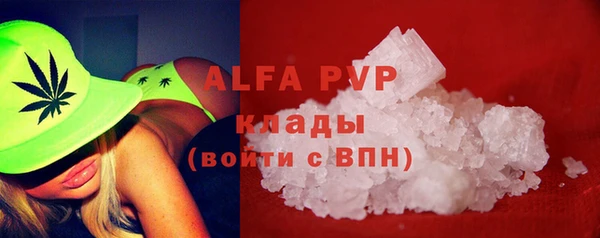 молекула духа Карпинск