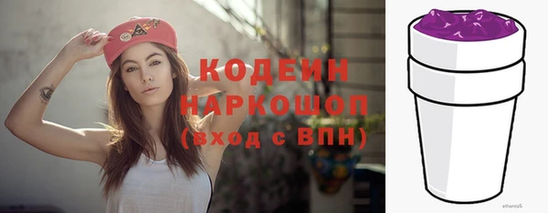 молекула духа Карпинск