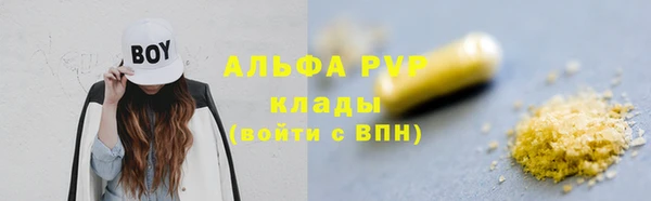ПСИЛОЦИБИНОВЫЕ ГРИБЫ Карталы