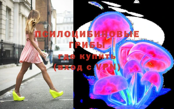 ПСИЛОЦИБИНОВЫЕ ГРИБЫ Карталы