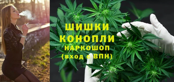 ПСИЛОЦИБИНОВЫЕ ГРИБЫ Карталы