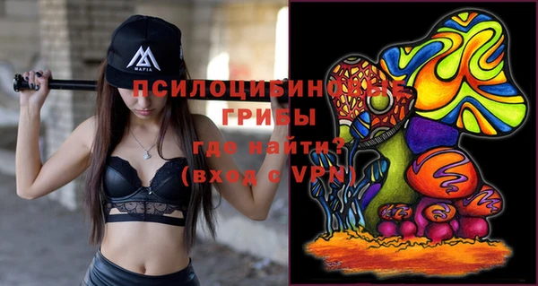 ПСИЛОЦИБИНОВЫЕ ГРИБЫ Карталы