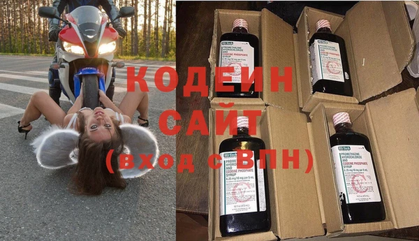 молекула духа Карпинск