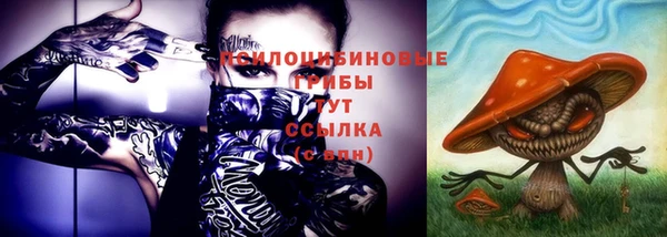 сатива Касимов