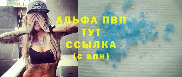 молекула духа Карпинск