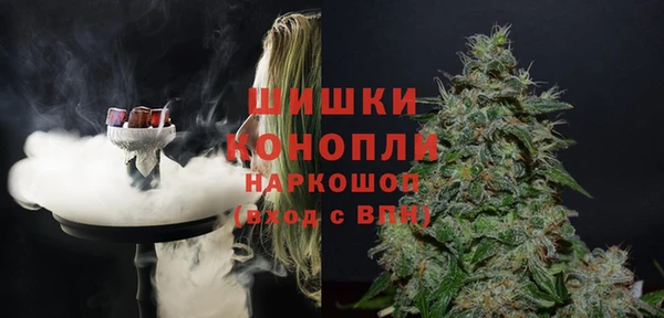 сатива Касимов