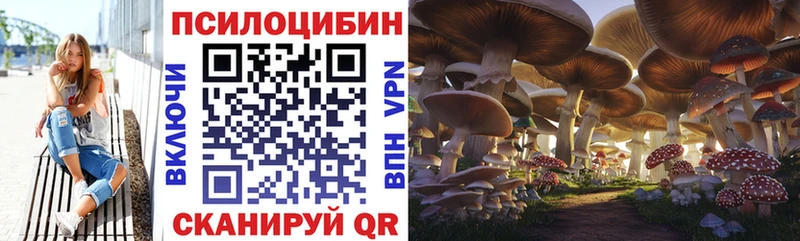 Галлюциногенные грибы прущие грибы  Купить закладки  Буйнакск 